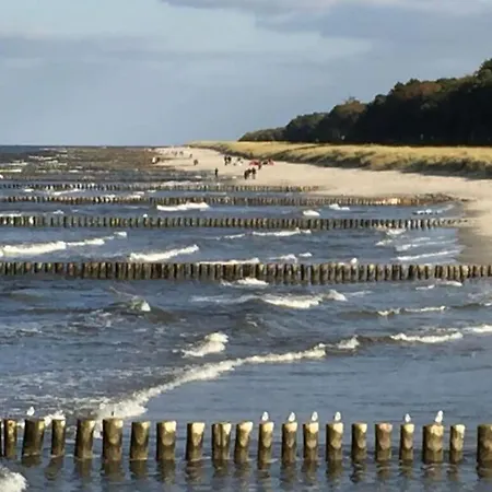 Apartman In Zingst